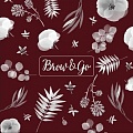 Brow&Go